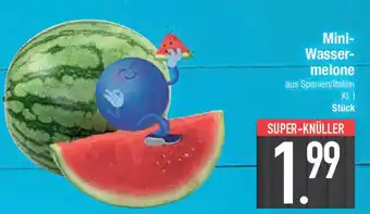 E-Center Mini- Wasser- melone Angebot