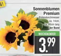 E-Center Sonnenblumen Premium Angebot
