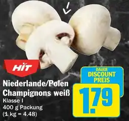 Hit Niederlande/Polen Champignons weiß Angebot