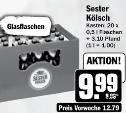 Hit Sester Kölsch Angebot