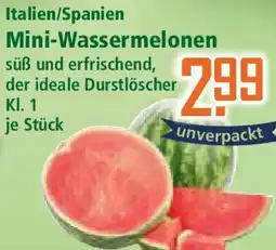 Klaas und Kock Italien/Spanien Mini-Wassermelonen Angebot