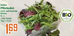 Klaas und Kock Italien Pflücksalat Angebot
