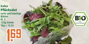Klaas und Kock Italien Pflücksalat Angebot