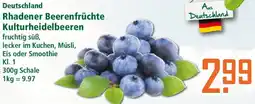 Klaas und Kock Deutschland Rhadener Beerenfrüchte Kulturheidelbeeren Angebot