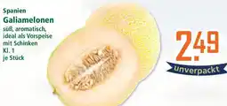 Klaas und Kock Spanien Galiamelonen Angebot