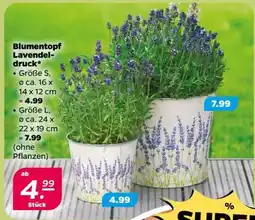 NETTO Blumentopf Lavendeldruck Größe S Angebot