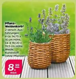 NETTO Pflanz-Weidenkorb Angebot