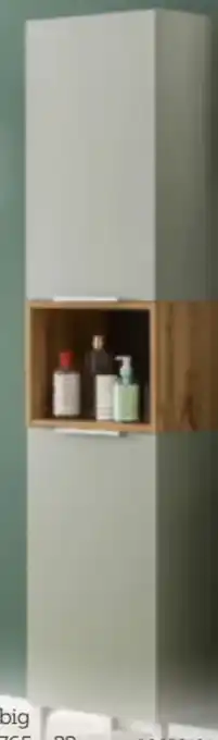 XXXLutz Stylife Hochschrank Angebot