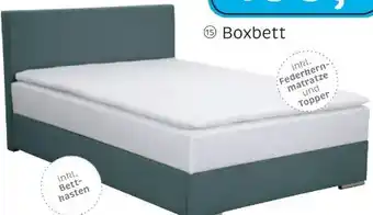 XXXLutz Boxxx Boxbett Angebot