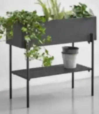 XXXLutz Blumenständer Angebot