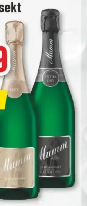 trinkgut Mumm & Co. Jahrgangssekt Angebot