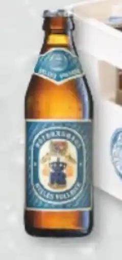 trinkgut Hofbräu München Helles Vollbier Angebot