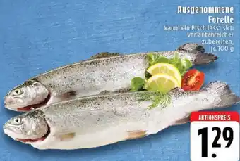 Edeka Ausgenommene Forelle Angebot