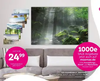 Mömax Keilrahmenbild „desteny“ Angebot