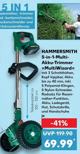 Kaufland Hammersmith 5-in-1-multi-akku-trimmer multiwizard Angebot