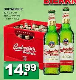 Getränkeparadies Gefromm Budweiser budweiser Angebot