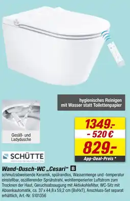 toom Baumarkt Schütte wand-dusch-wc „cesari“ Angebot