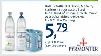 Getränke Quelle Bad pyrmonter mineralwasser Angebot