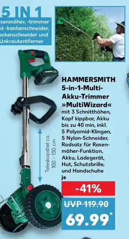 Kaufland HAMMERSMITH 5-in-1-Multi- Akku-Trimmer MultiWizard Angebot