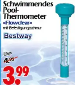 Wreesmann Schwimmendes Pool- Thermometer Bestway Angebot