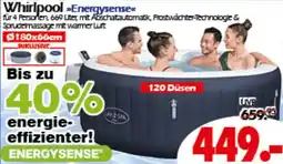 Wreesmann Bestway Energysense Angebot