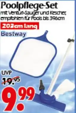 Wreesmann Bestway Poolpflege-Set Angebot