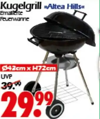 Wreesmann Kugelgrill Altea Hills Angebot