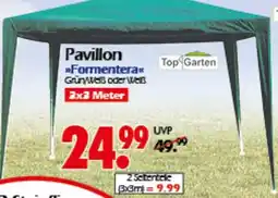 Wreesmann Top Garten Pavillon Angebot