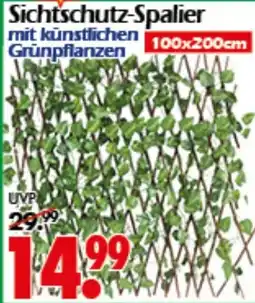 Wreesmann Sichtschutz-Spalier Angebot