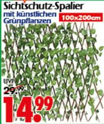 Wreesmann Sichtschutz-Spalier Angebot