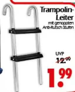 Wreesmann Trampolin Leiter Angebot
