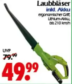 Wreesmann Laubbläser inkl. Akku Angebot