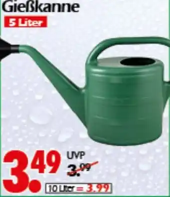 Wreesmann Gießkanne Angebot