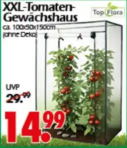 Wreesmann Top Flora XXL-Tomaten Gewächshaus Angebot