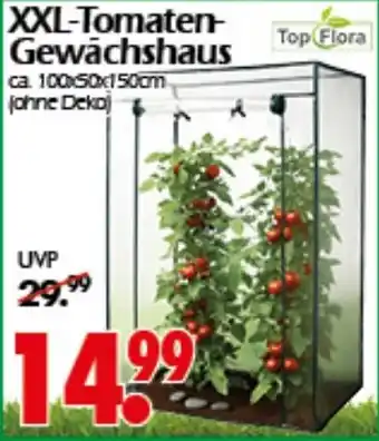 Wreesmann Top Flora XXL-Tomaten Gewächshaus Angebot
