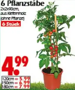 Wreesmann 6 Pflanzstabe Angebot