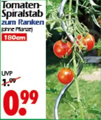 Wreesmann Tomaten- Spiralstab Angebot