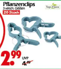 Wreesmann Top Flora Pflanzenclips Angebot