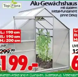 Wreesmann Top Flora Alu-Gewächshaus Angebot