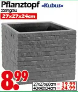 Wreesmann Pflanztopf Kubus Angebot
