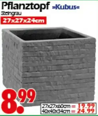 Wreesmann Pflanztopf Kubus Angebot