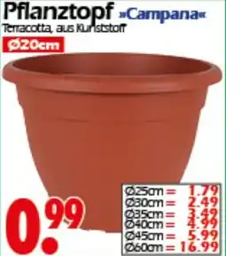 Wreesmann Pflanztopf Campana Angebot