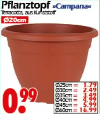 Wreesmann Pflanztopf Campana Angebot