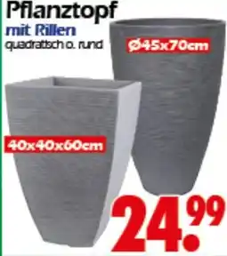 Wreesmann Pflanztopf Angebot