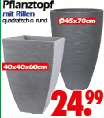 Wreesmann Pflanztopf Angebot
