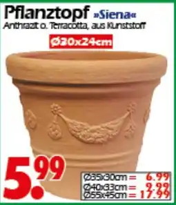 Wreesmann Pflanztopf Siena Angebot