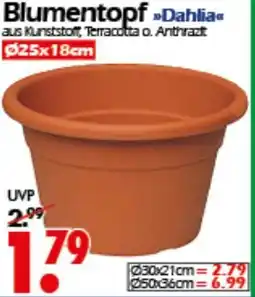 Wreesmann Blumentopf Dahlia Angebot