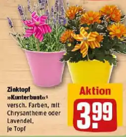 REWE Zinktopf Kunterbunt Angebot