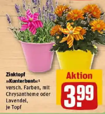 REWE Zinktopf Kunterbunt Angebot