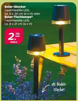 NETTO Solar-Stecker / Solar-Tischlampe Angebot